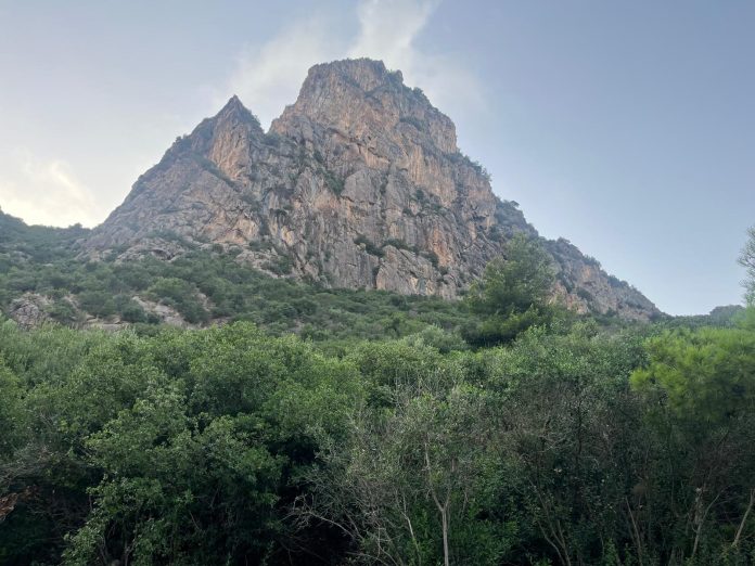 Le Pic des Singes dans le parc de Gourouya à Béjaïa